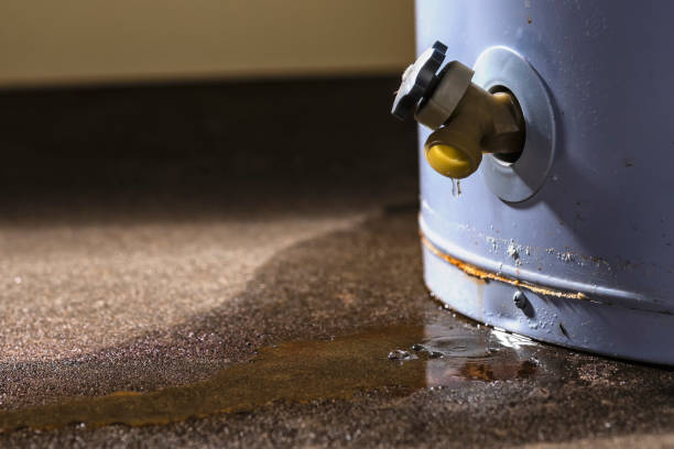 Best Water damage contractors near me  in Cape Girardeau, MO