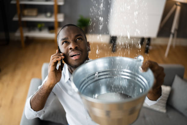 Best Water damage cleanup near me  in Cape Girardeau, MO