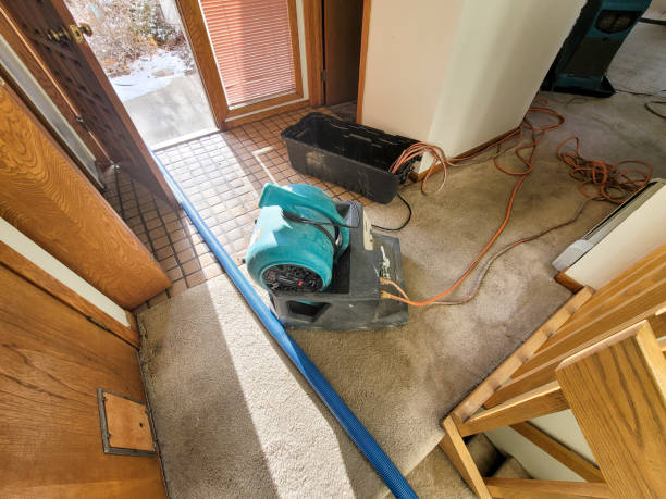 Best 24-hour water damage restoration  in Cape Girardeau, MO