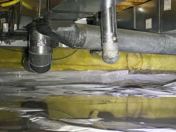 Best Water damage restoration near me  in Cape Girardeau, MO