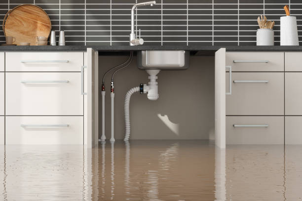 Best Professional water damage repair  in Cape Girardeau, MO