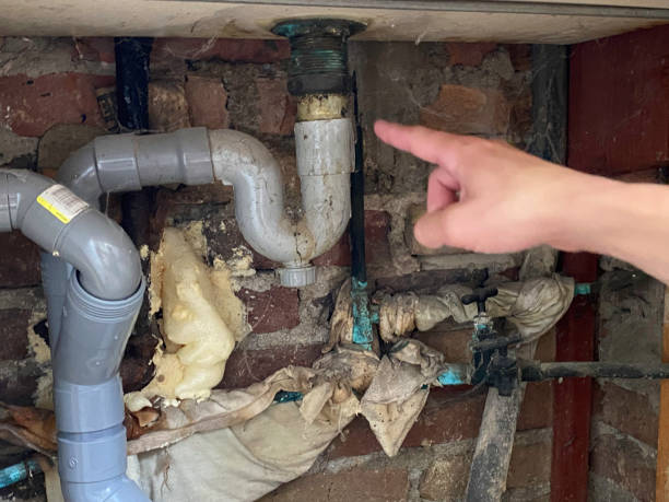 Best Flood damage cleanup  in Cape Girardeau, MO