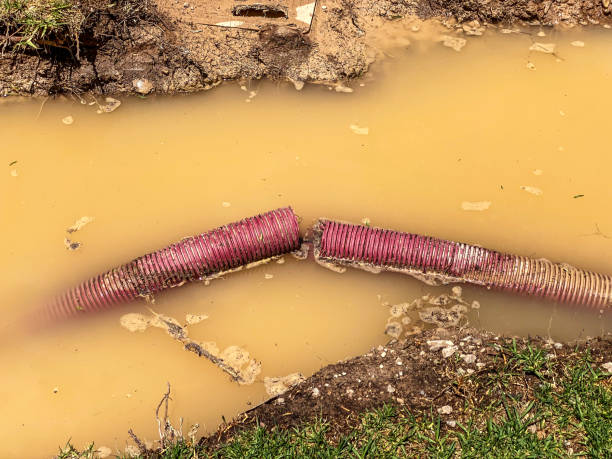Best Residential water damage restoration  in Cape Girardeau, MO