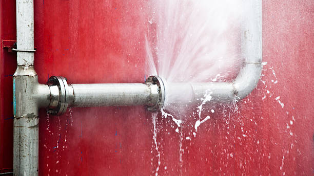 Best Flood damage cleanup  in Cape Girardeau, MO